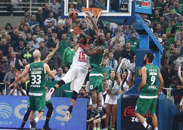 pegasus_large_t_1301_107208920_type12905